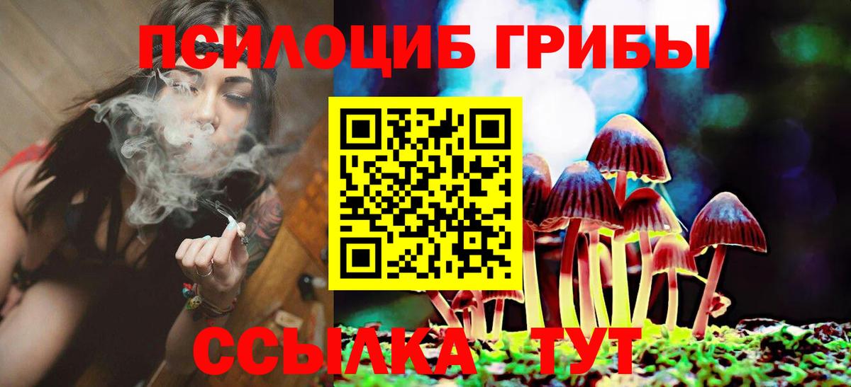 Псилоцибиновые грибы прущие грибы Новодвинск