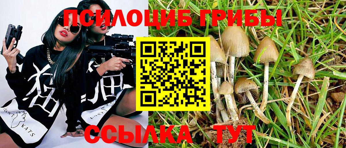 Новодвинск  Галлюциногенные грибы GOLDEN TEACHER  Вход с VPN 