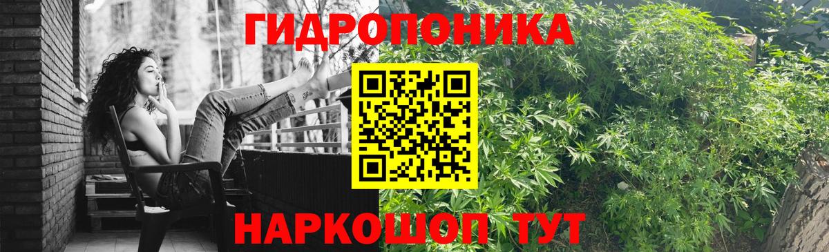 Канабис White Widow  Вход с VPN  Марихуана конопля  Бошки Шишки VHQ  Канабис AK-47  Новодвинск 